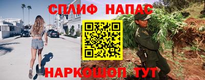 герыч Гатчина
