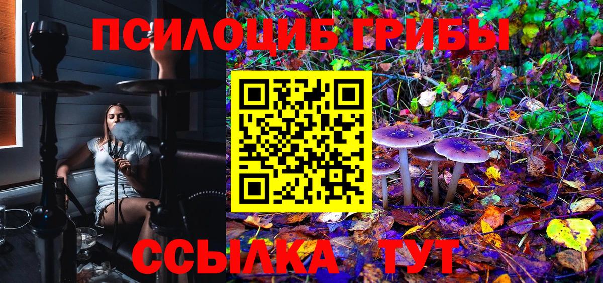 Галлюциногенные грибы Cubensis Новоалександровск