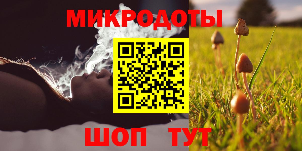 Новоалександровск  Псилоцибиновые грибы Cubensis  Вход с VPN  Галлюциногенные грибы Psilocybine cubensis 